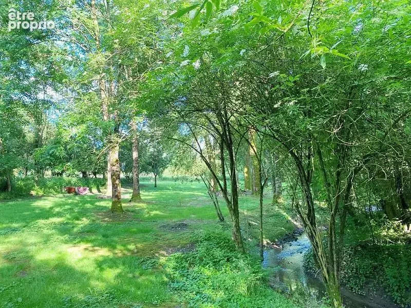 Maison 257 m² à Souilly  - photo 5