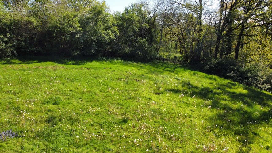Terrain à GIGOUZAC