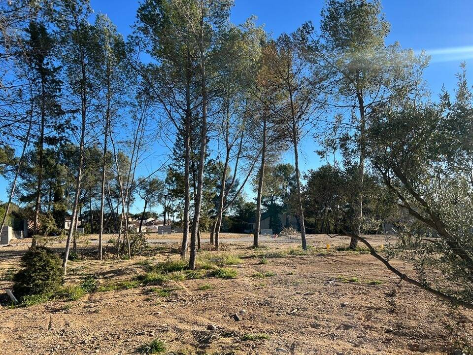 Terrain à SAINT-CLEMENT-DE-RIVIERE