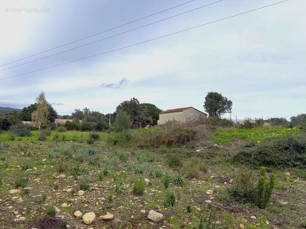 Terrain à GHISONACCIA