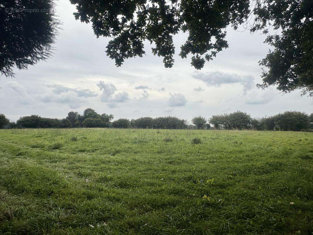 Maison à LE MESNIL-ROUXELIN