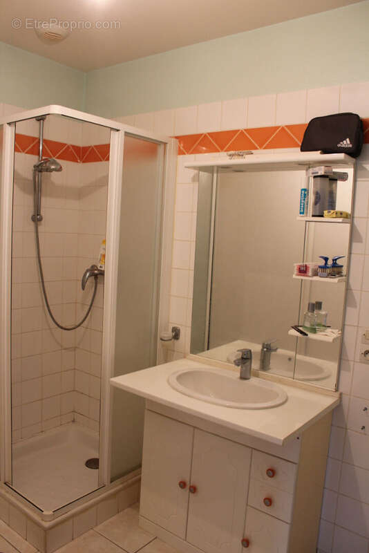 Immeuble de rapport entierement loué et sans travaux a prévoir - photo 8