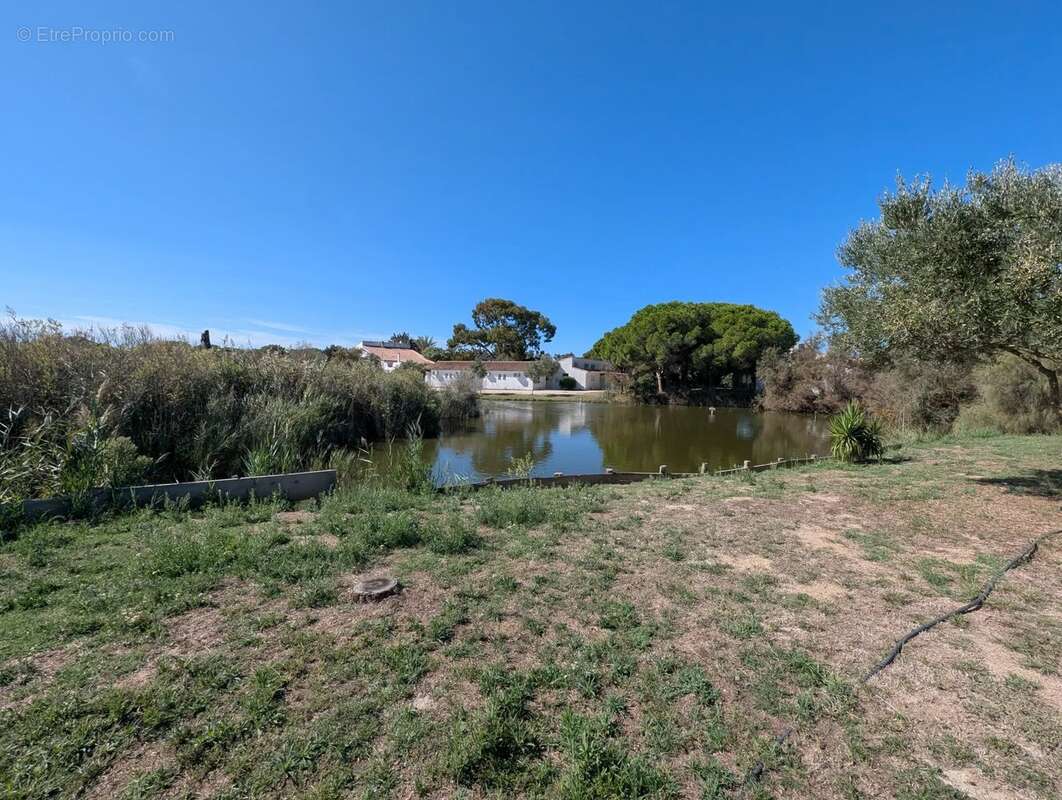 Maison à SAINTES-MARIES-DE-LA-MER