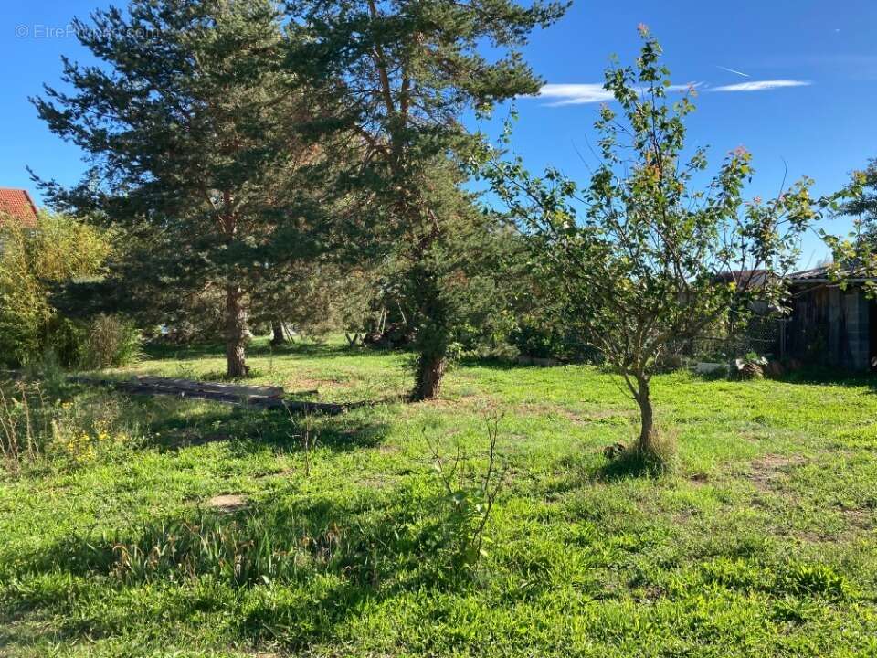 Terrain à LES VILLETTES