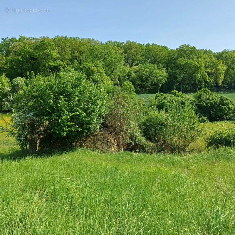 Ancienne Maison de Maître terre et bois 6 Ha - photo 25