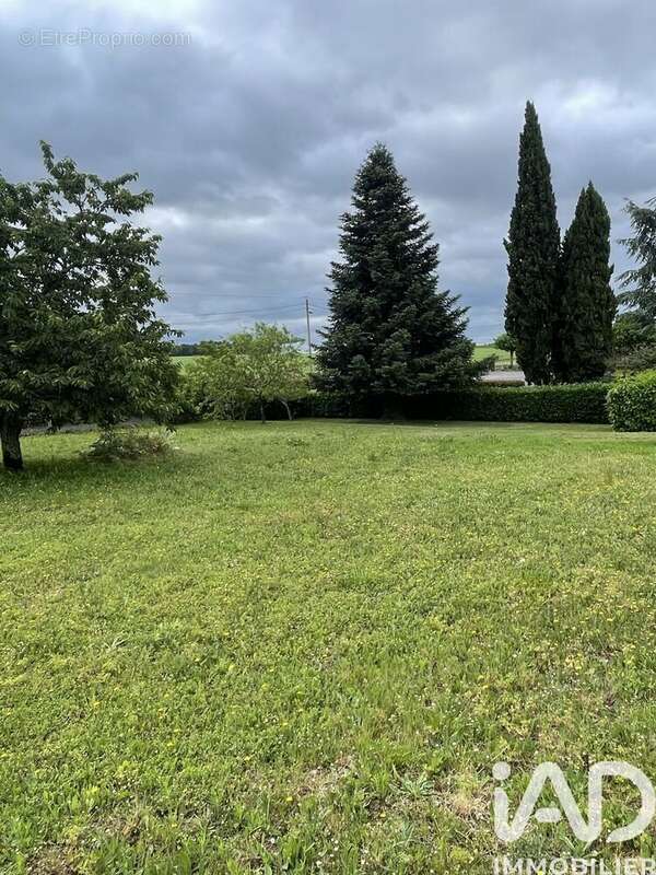 Terrain 887 m² à Martres  - photo 3