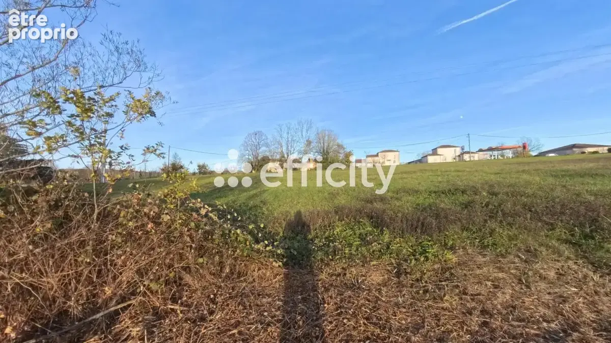Terrain 14992 m² à Villeneuve-Sur-Lot  - photo 7