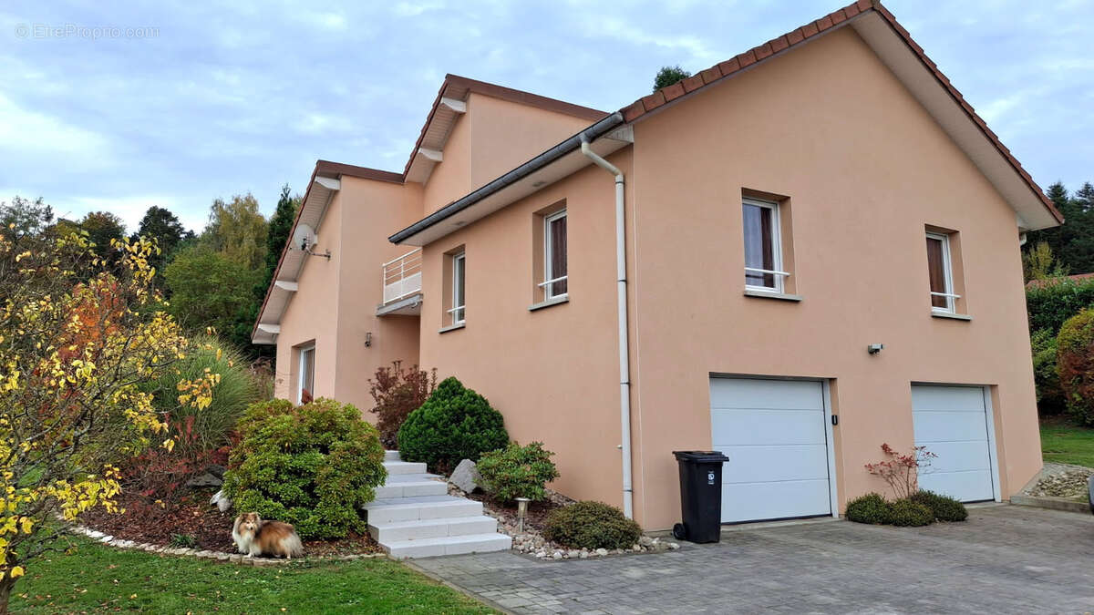 Maison à NOMPATELIZE