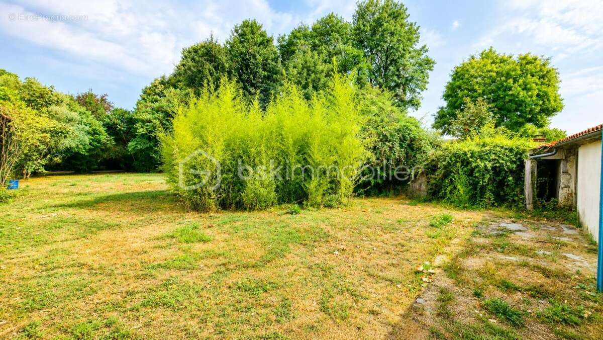  COUP DE CŒUR – Maison familiale avec magnifique parc, chai en pierre 75m² attenant et dépendance non attenante 140m² - photo 3