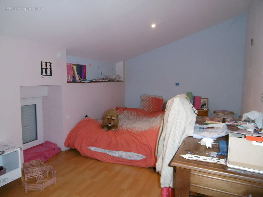 Maison à SAINT-CHRISTOPHE-EN-BRIONNAIS