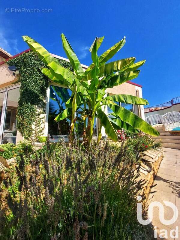 Photo 6 - Maison à BEAUNE
