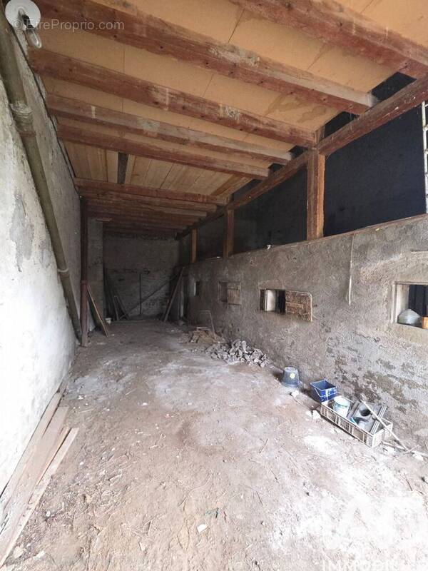 Photo 1 - Appartement à MASSONGY