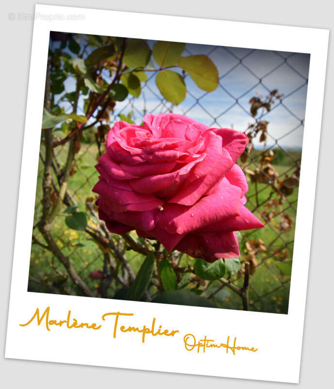 Maison à LUCQ-DE-BEARN