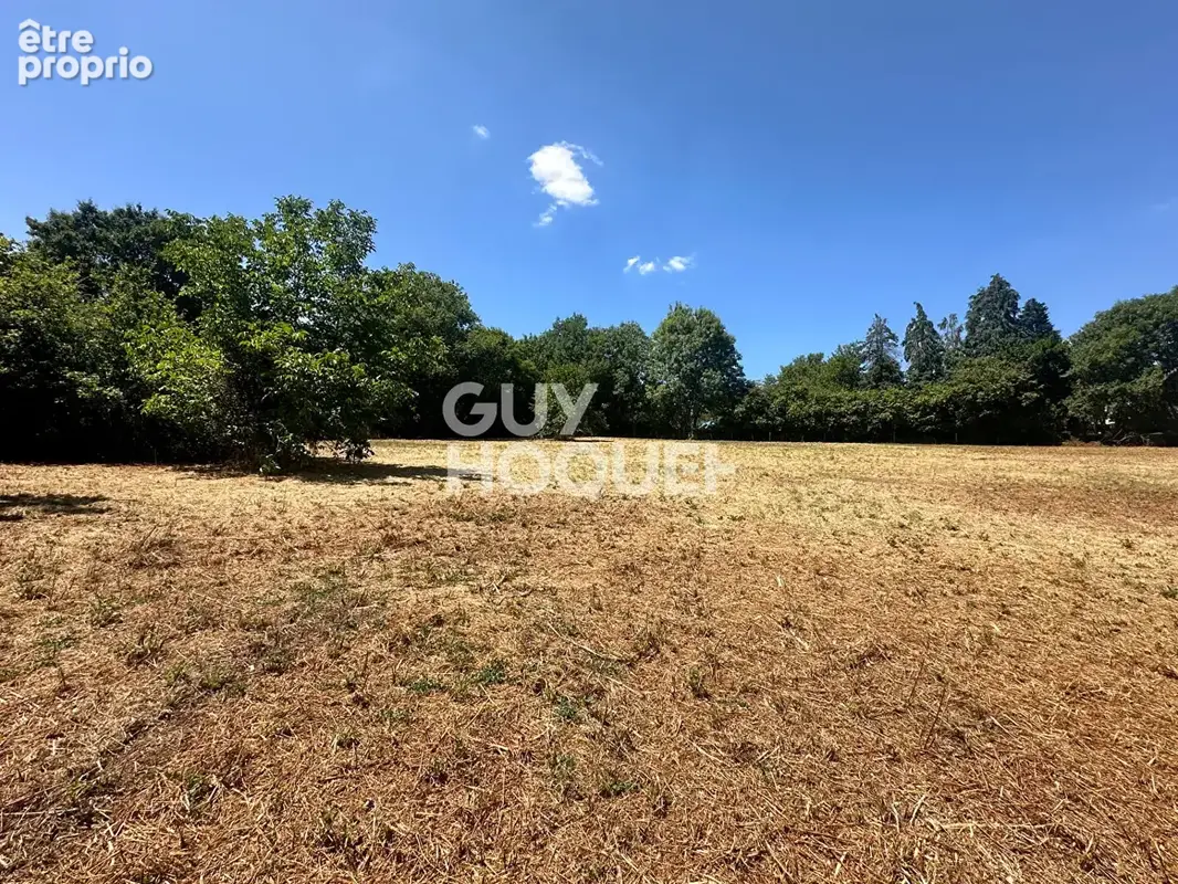 Terrain 3 795 m² à vendre à Mervent (85200) - photo 4
