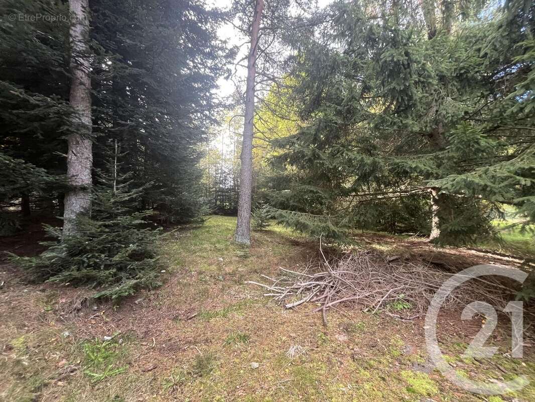 Terrain à BURDIGNES