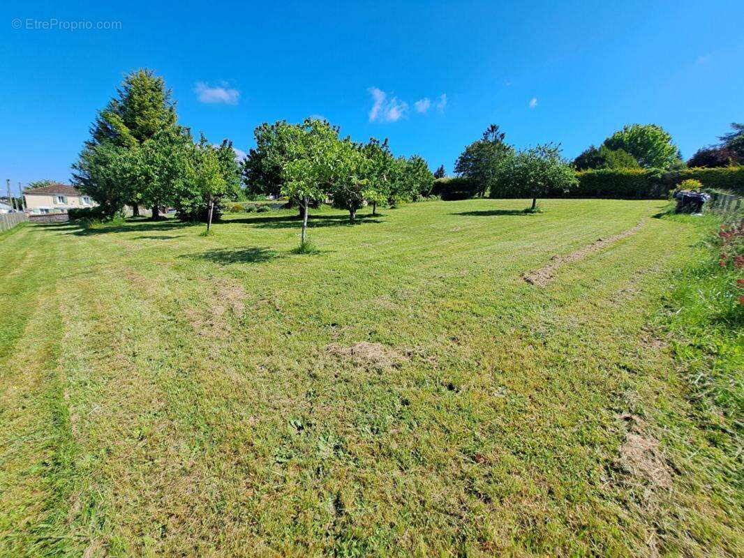 Terrain à LA COURONNE