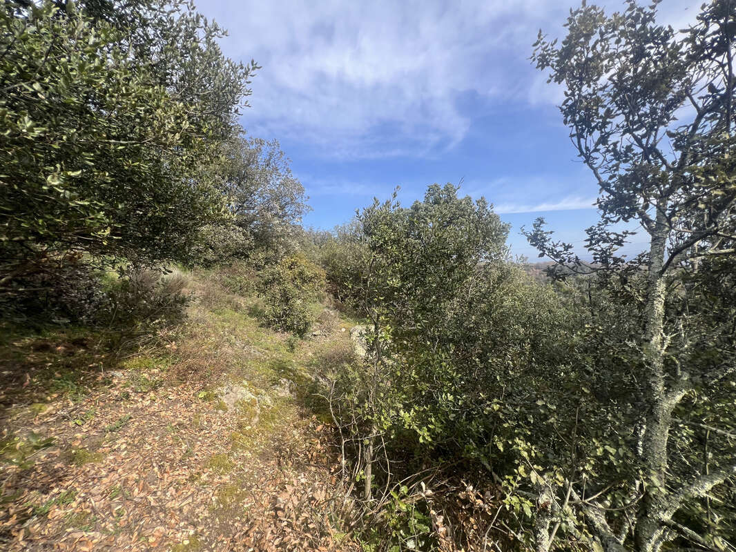 Terrain à SAINT-PERAY