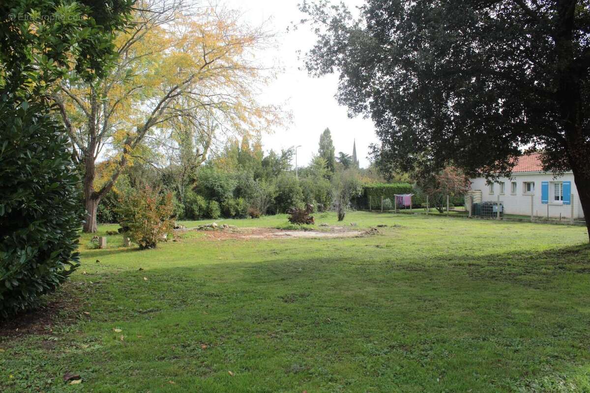 Photo 2 - Terrain à SAINT-GENIS-DE-SAINTONGE