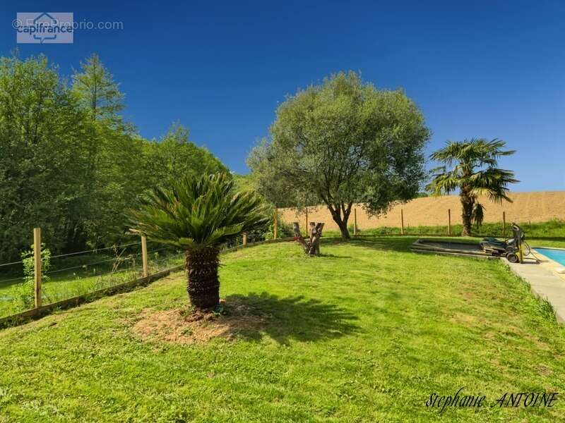 Propriété de caractère – 6,7 hectares – dépendances – ossages - photo 24