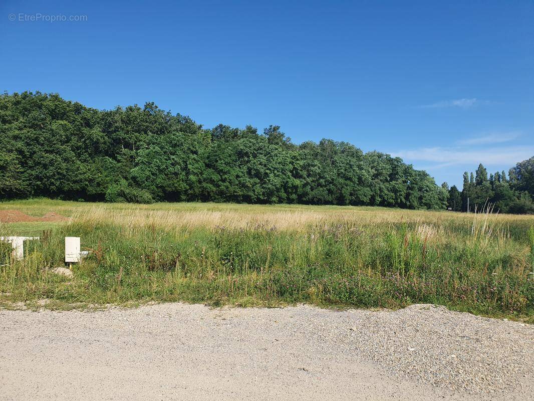Terrain à CASTRES-GIRONDE