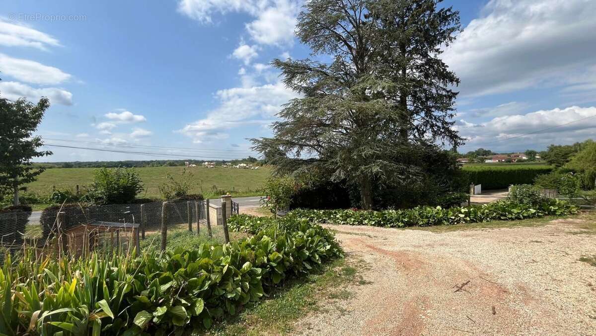 Maison à BAGE-LA-VILLE