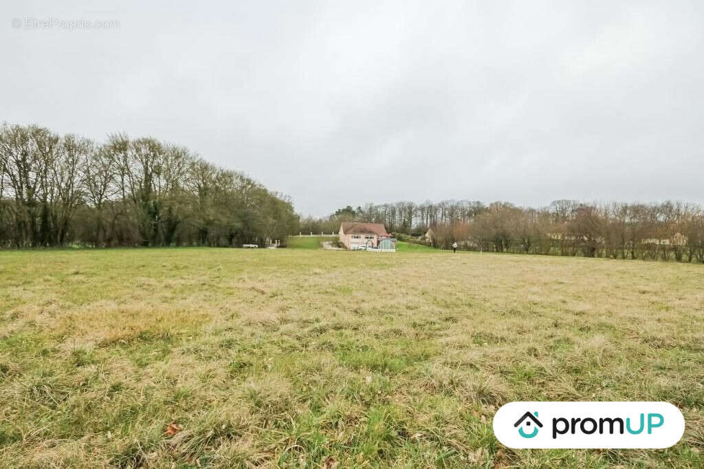 Terrain à CHAILLOUE