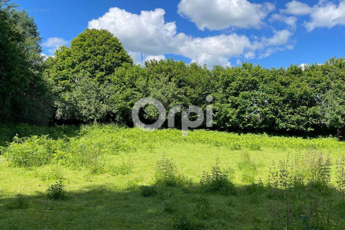 Maison à SAINT-MARTIN-TERRESSUS