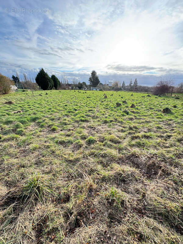 Terrain à ROSOY-LE-VIEIL