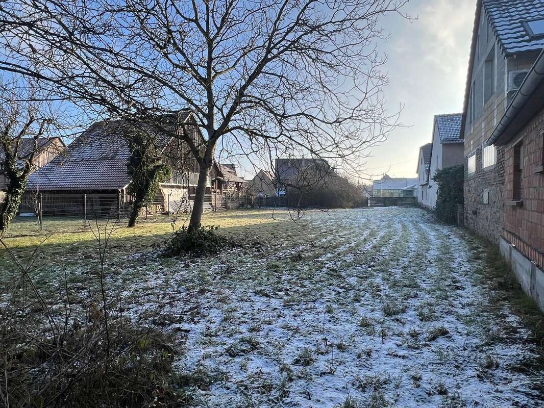 Terrain à GRUSSENHEIM