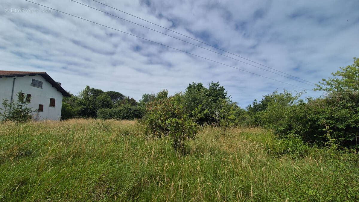 Terrain à SAINT-JEAN-DE-LUZ