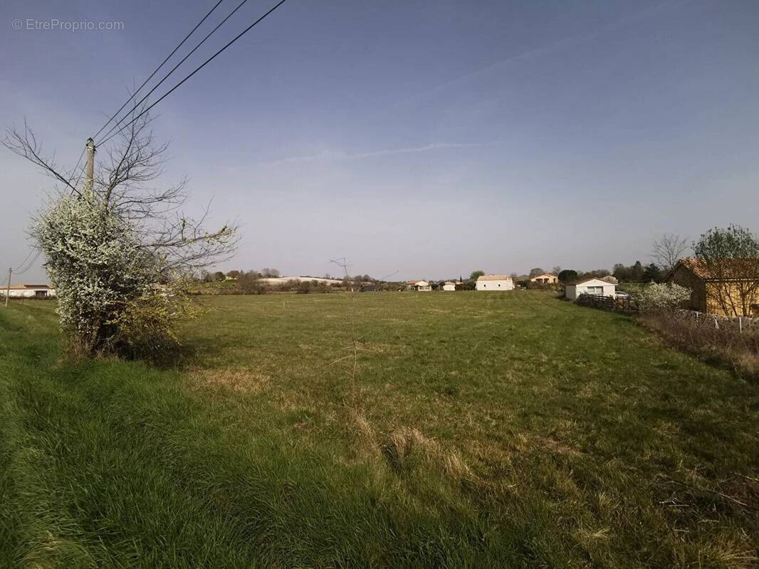 Terrain à MONMARVES