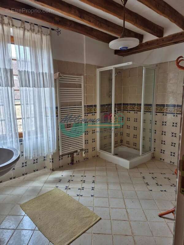 Maison 372 m² à Moutiers-En-Puisaye  - photo 2