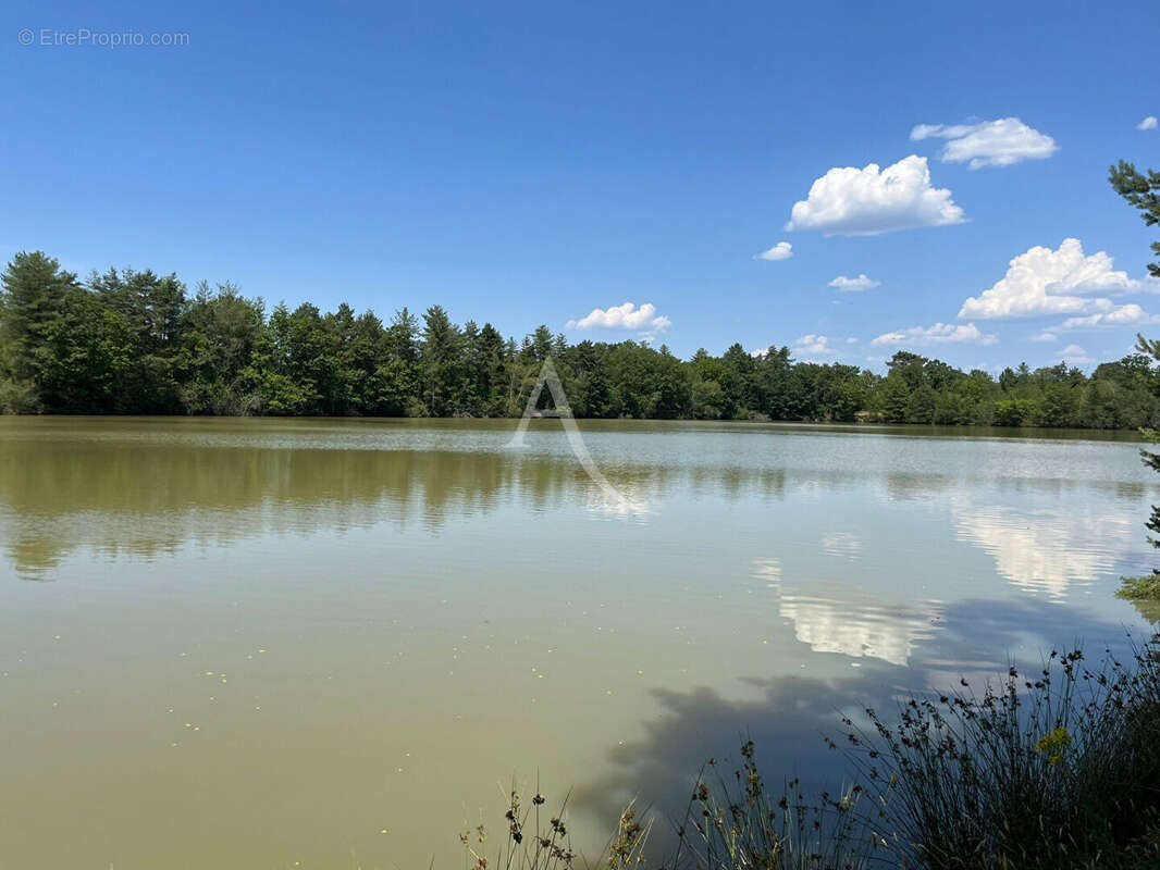 Territoire de chasse avec étang en Sologne - photo 2
