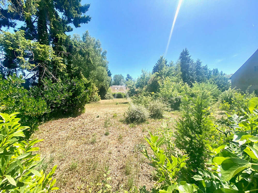 Terrain à SANDILLON