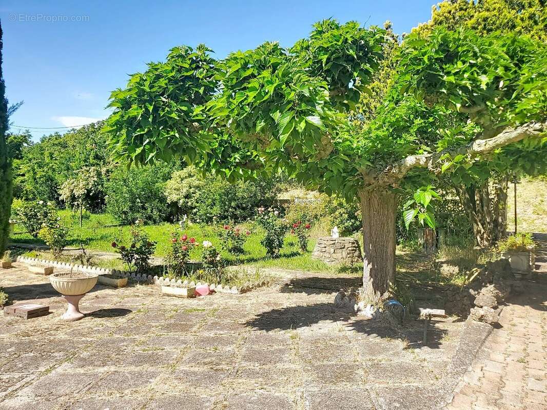 Maison à LE BOUSQUET-D'ORB
