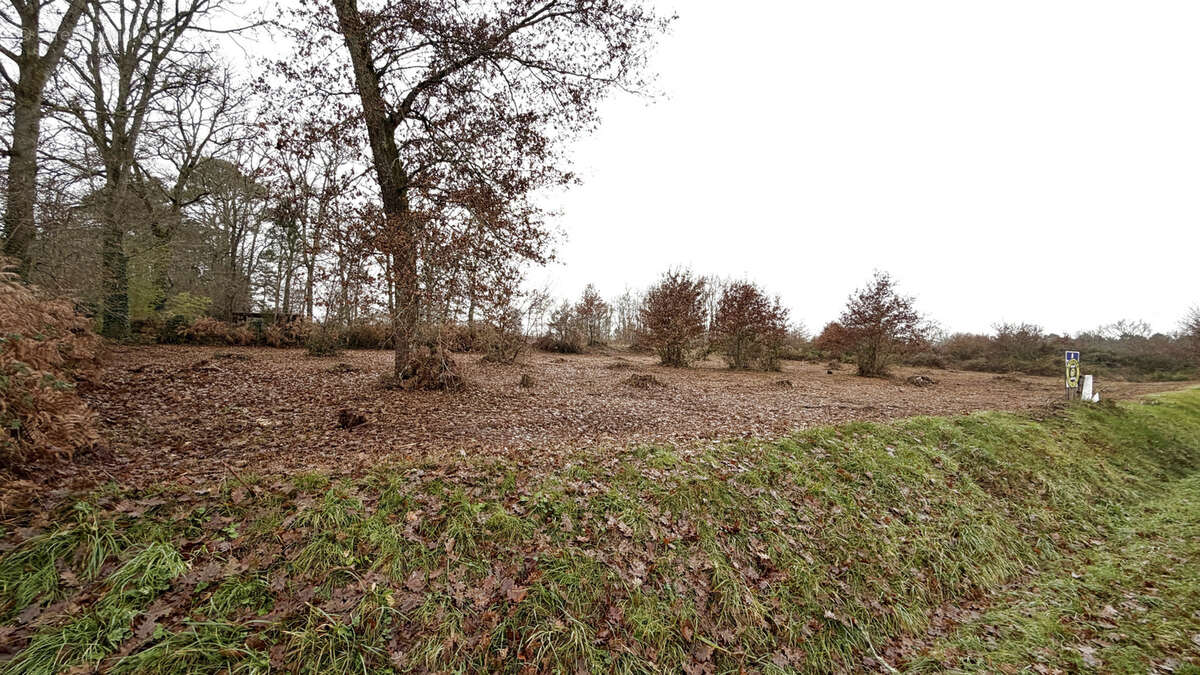 Terrain à CAUBEYRES