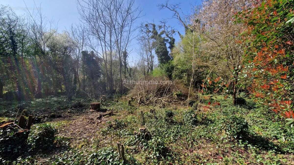 Terrain à THORIGNY-SUR-MARNE