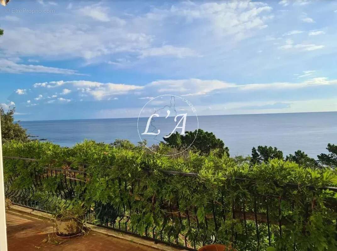 Maison à SARI-SOLENZARA