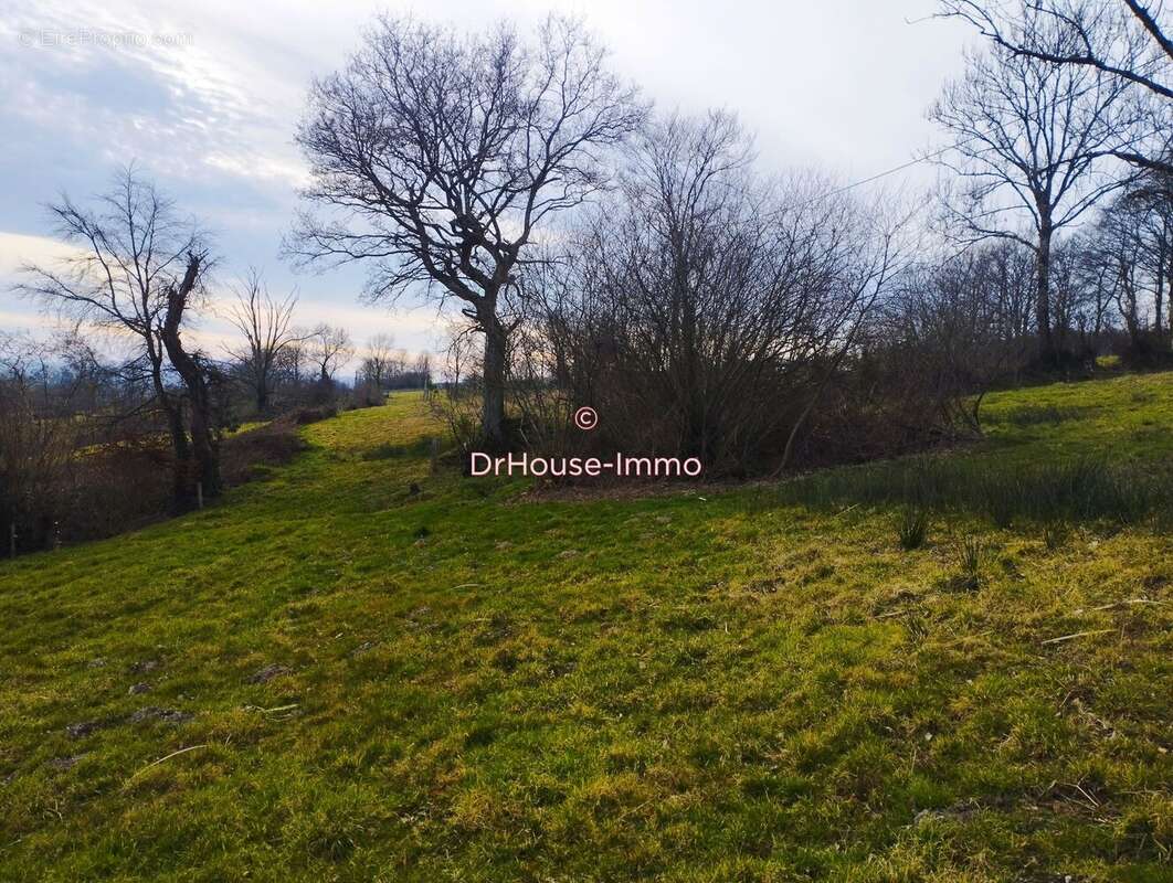 Terrain à TORIGNI-SUR-VIRE