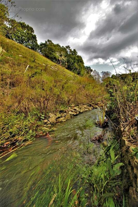 Maison à SAINT-MARTIN-DE-SEIGNANX