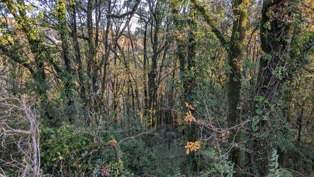 Terrain à SERILHAC