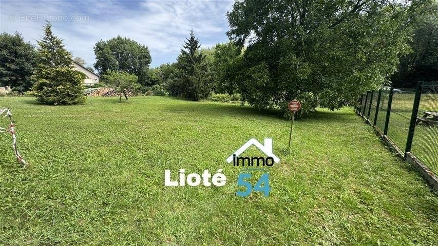 Terrain à CREVECHAMPS