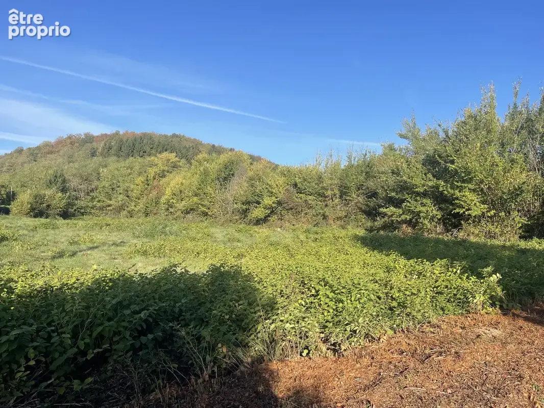 Terrain à CHAMPAGNEY