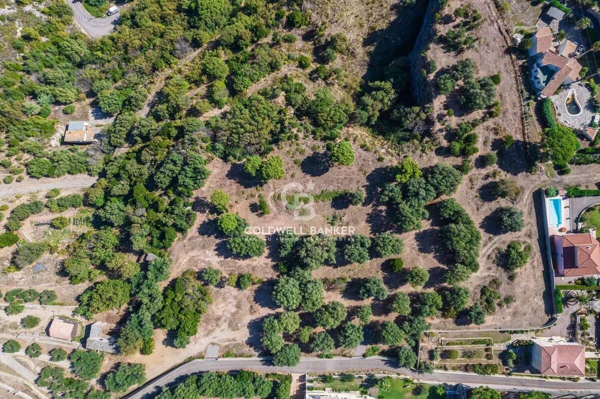 Terrain à SAN-MARTINO-DI-LOTA
