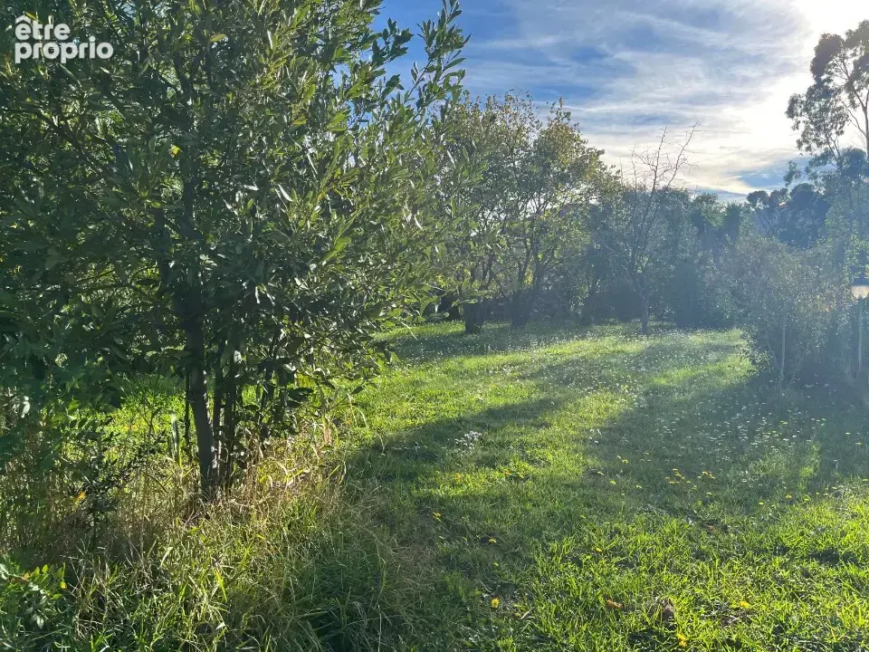 Terrain 500 m² à Sollies-Pont  - photo 1