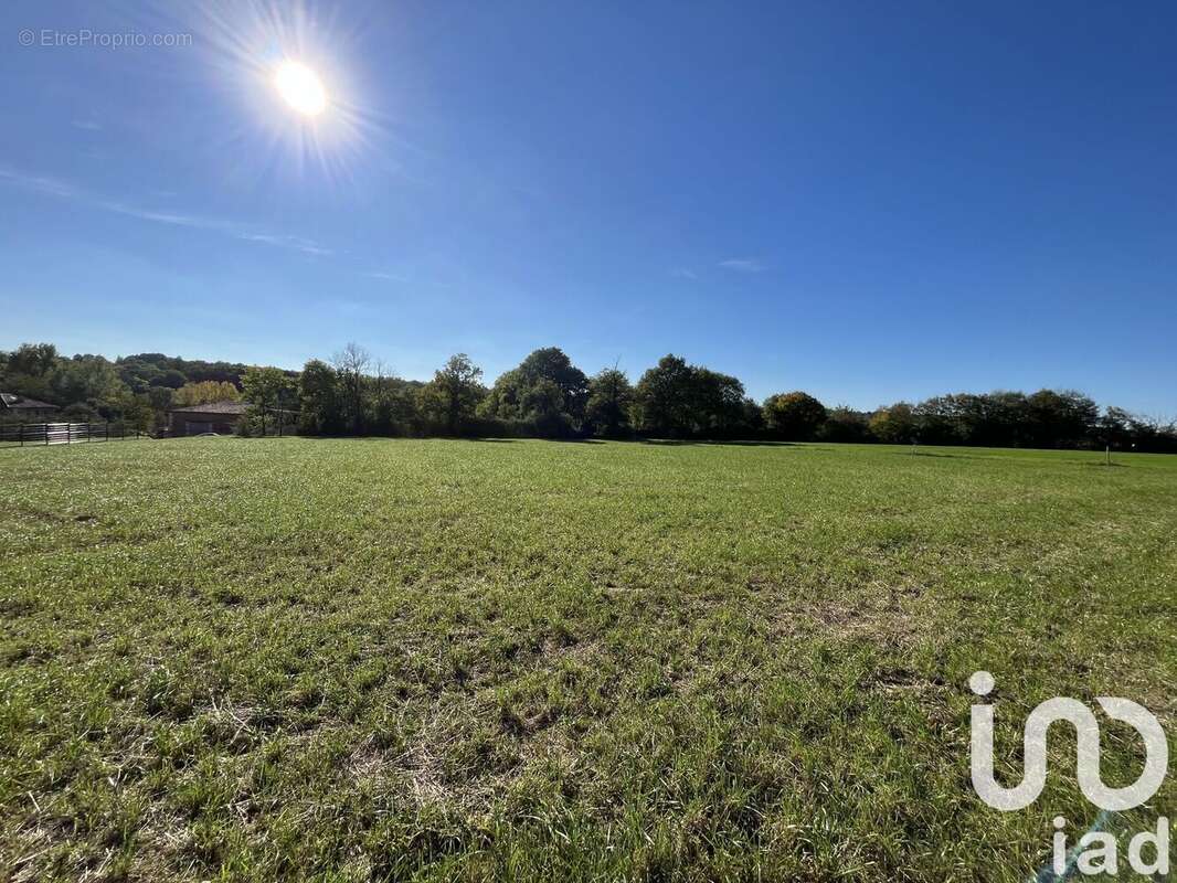 Photo 4 - Terrain à ROUMAZIERES-LOUBERT