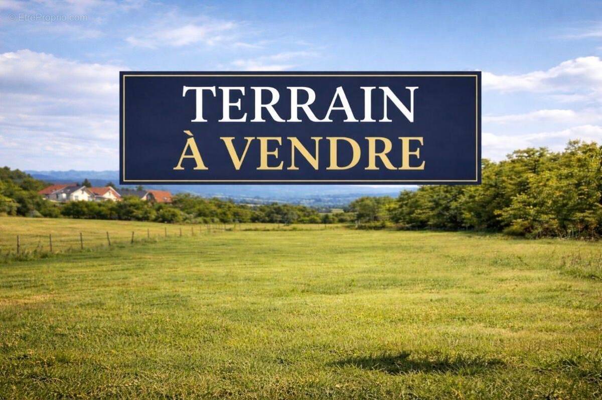 Terrain à VIC-DE-CHASSENAY