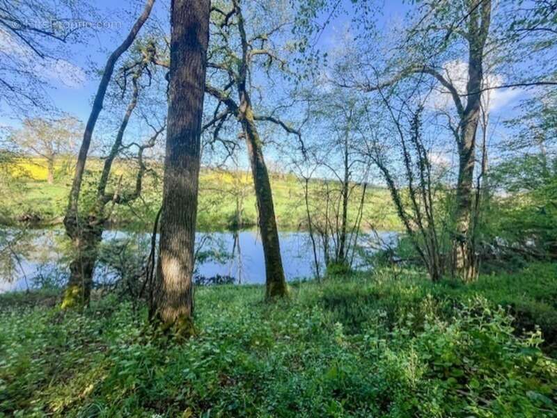 Terrain à AVAILLES-THOUARSAIS
