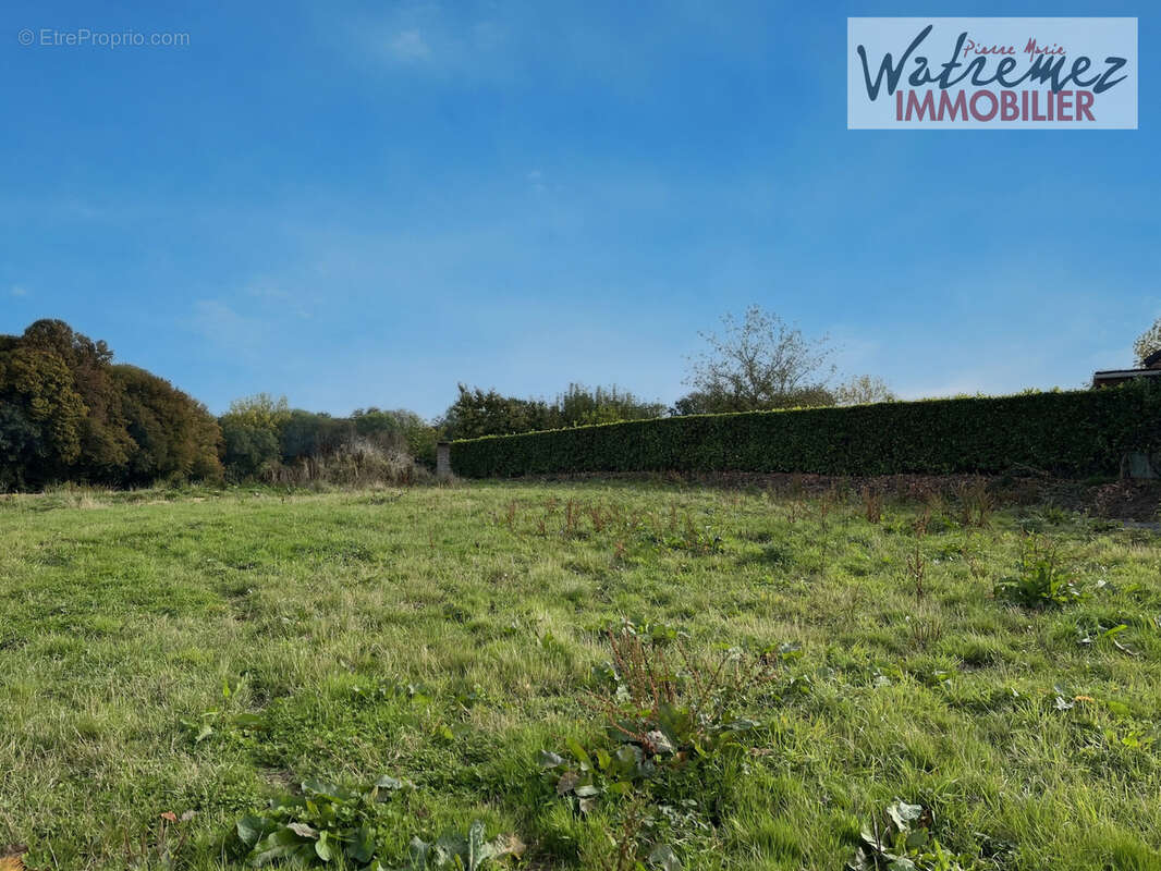 Terrain à LE QUESNOY