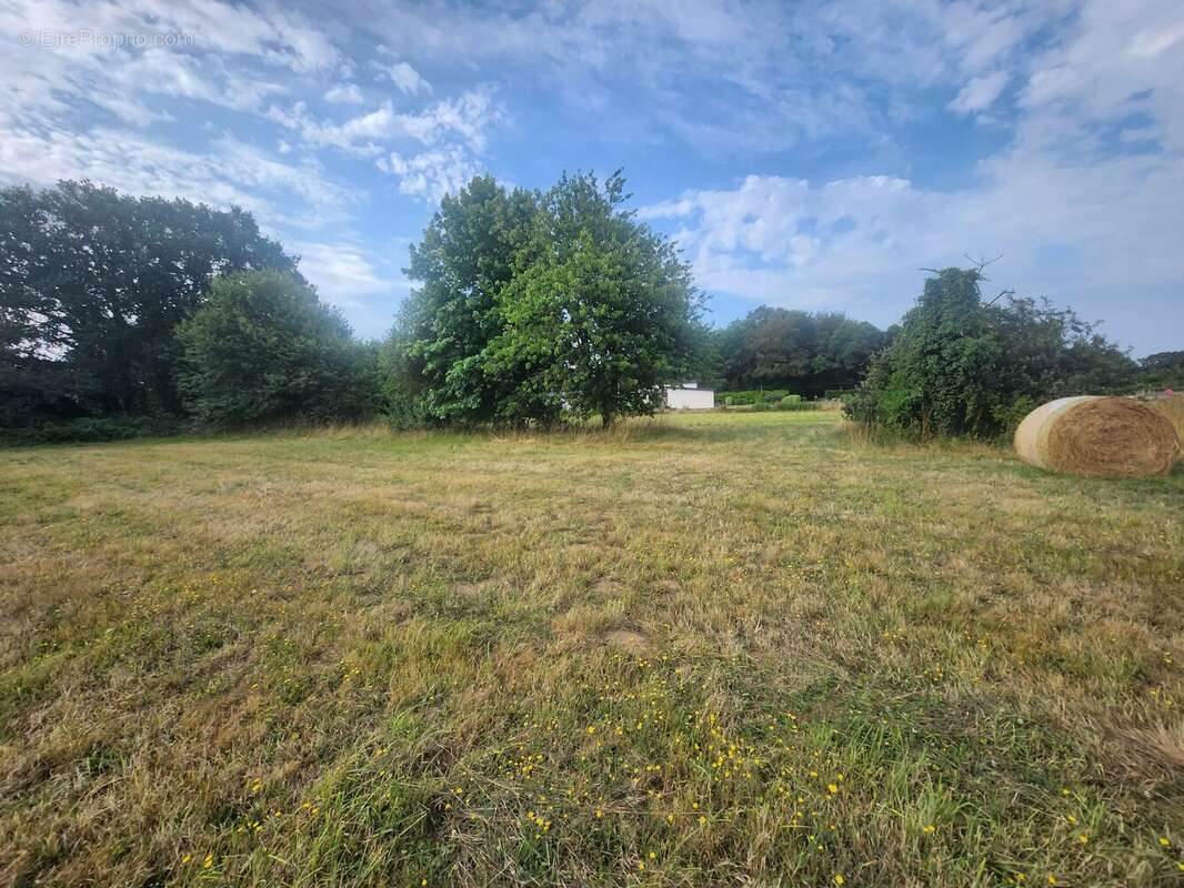 Magnifique terrain constructible - photo 6